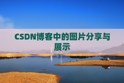 CSDN博客中的图片分享与展示