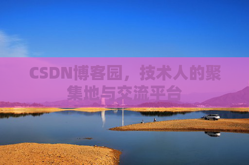 CSDN博客园，技术人的聚集地与交流平台